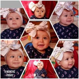 Meet your Posher, Gilbert